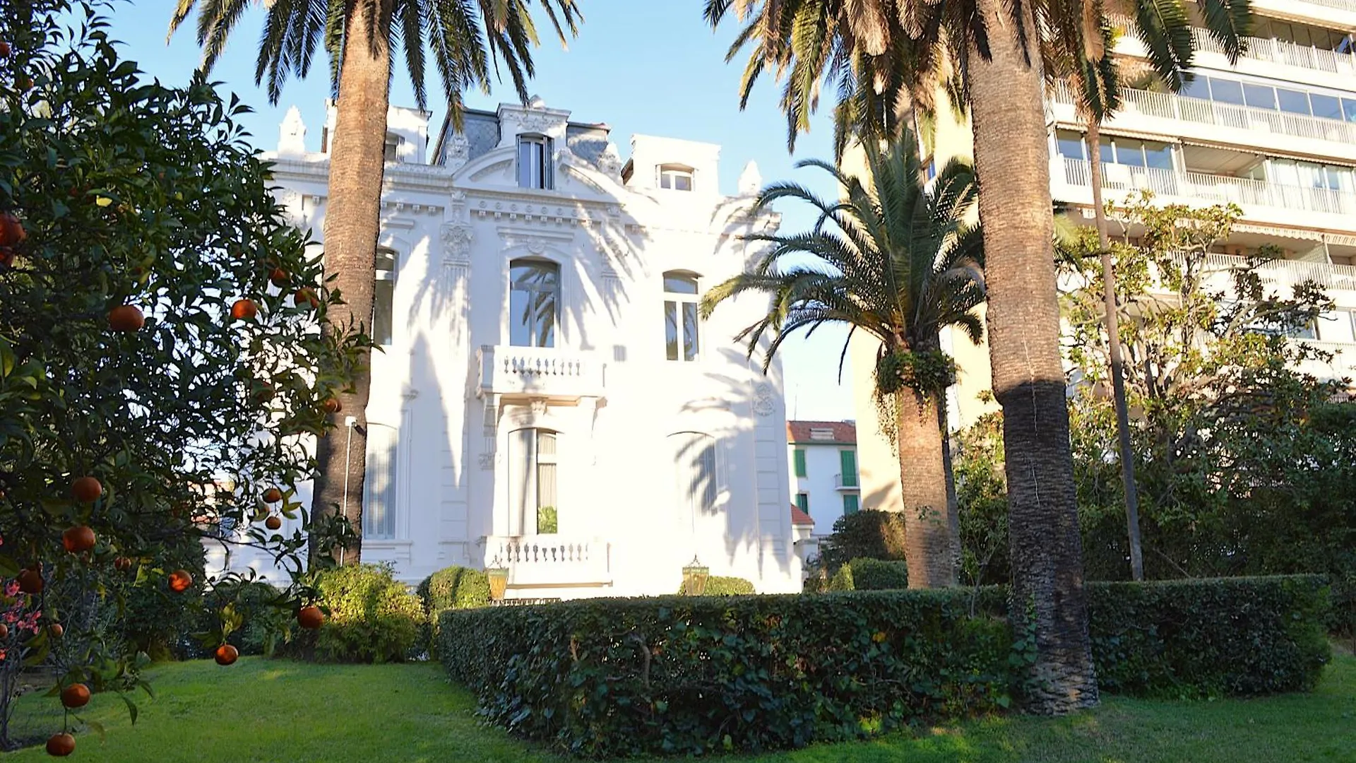 Charming Apartment Cannes City Center And Beaches